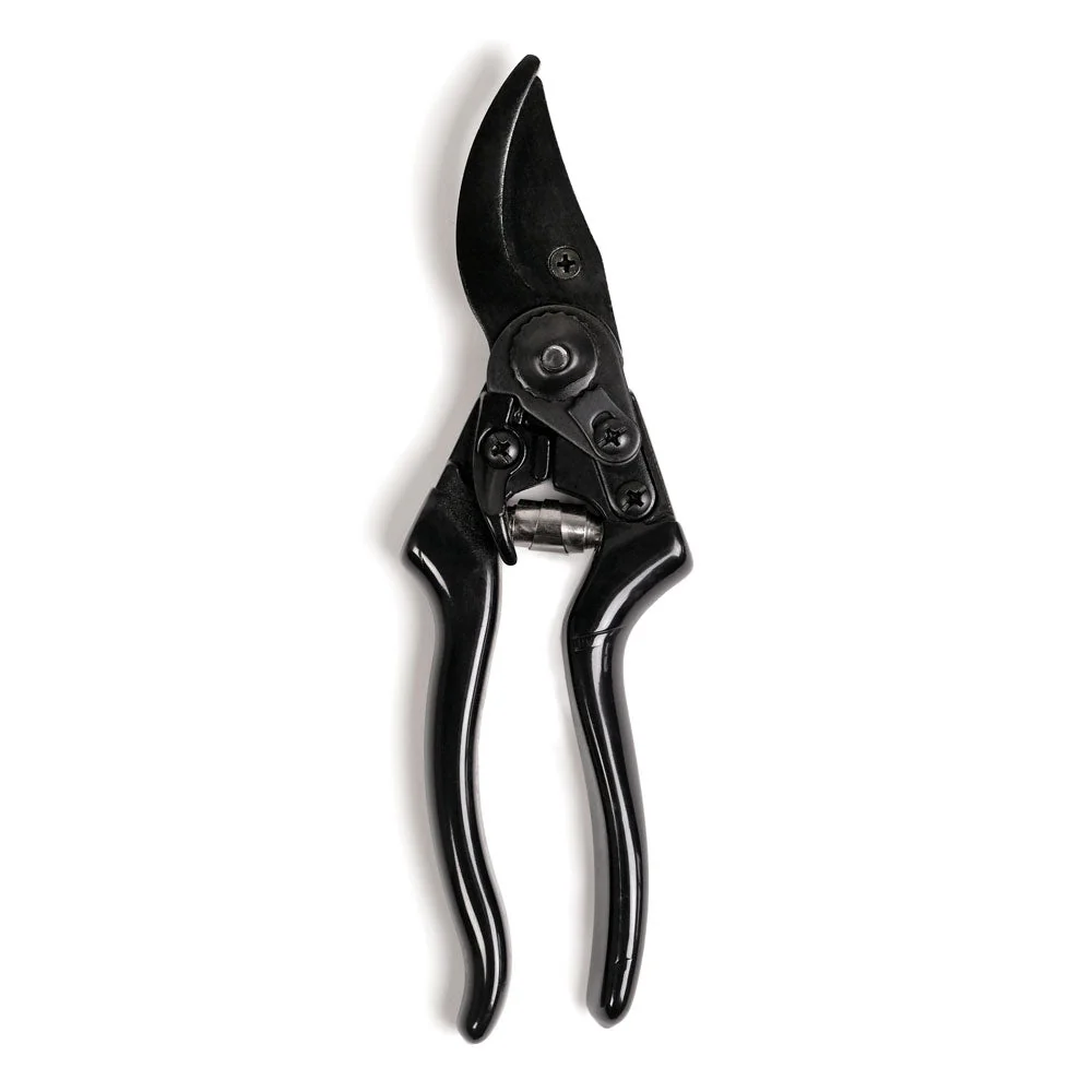 Secateur Basic